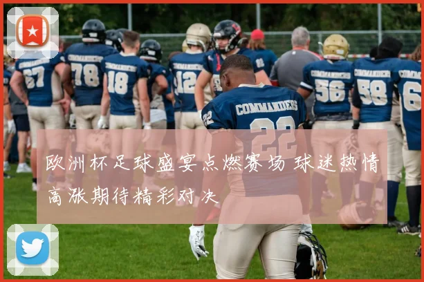 欧洲杯足球盛宴点燃赛场 球迷热情高涨期待精彩对决