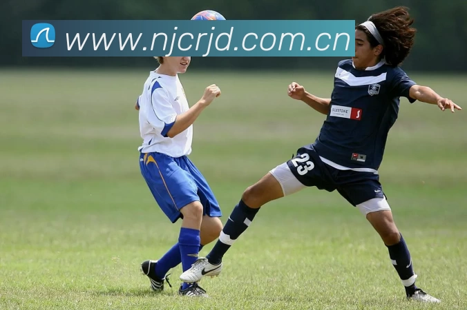 多媒体互动体验